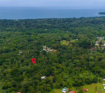 🍃 Exclusive Investment in Costa Rica's Caribbean