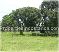 Costa Rica Real Estate