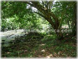 Guapiles lot for sale, Limon lots, land for sale, public road frontage, access, investment, opportunity, 1728 
