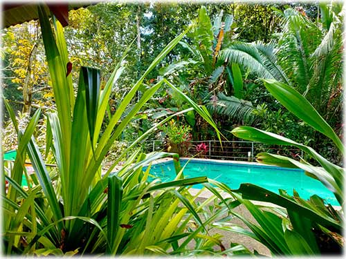 Caribbean, Cocles, turnkey, Puerto Viejo, retreat, pool, bungalows, business, investment, beachlivestyle, jungle, cabins, ROI, yoga, ceremonies, permaculture