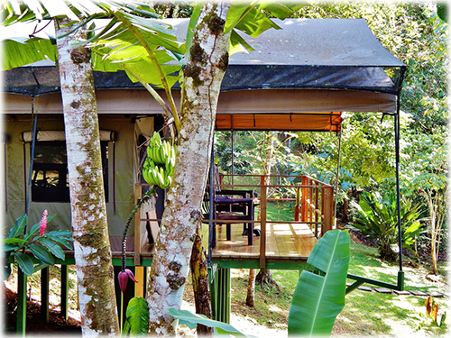 osa, south pacific, for sale, nature, jungle lodge, coast, beach, close to everything, waterfalls