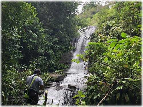 quepos, waterfall, river foothill, mountain, land, conservation, eco-friendly, development, manuel antonio