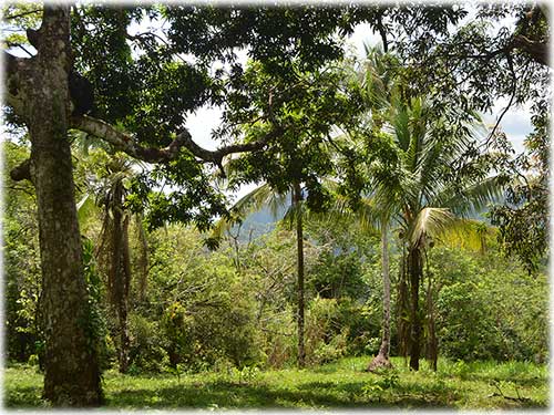 quepos, waterfall, river foothill, mountain, land, conservation, eco-friendly, development, manuel antonio