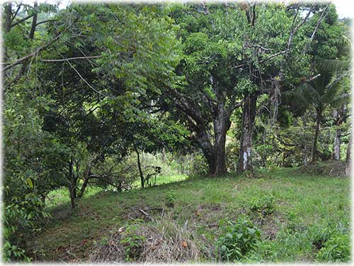 quepos, waterfall, river foothill, mountain, land, conservation, eco-friendly, development, manuel antonio