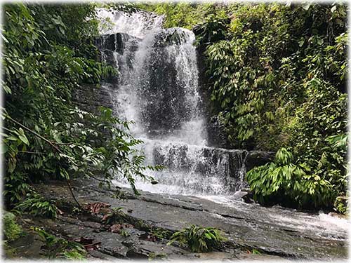 quepos, waterfall, river foothill, mountain, land, conservation, eco-friendly, development, manuel antonio