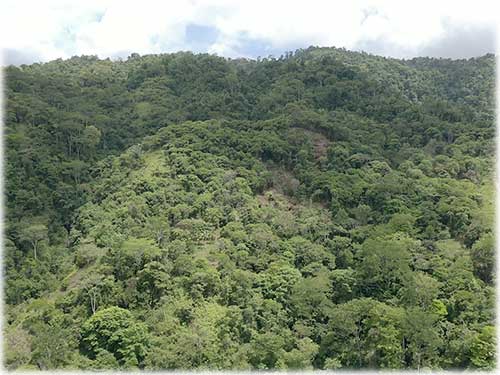 quepos, waterfall, river foothill, mountain, land, conservation, eco-friendly, development, manuel antonio