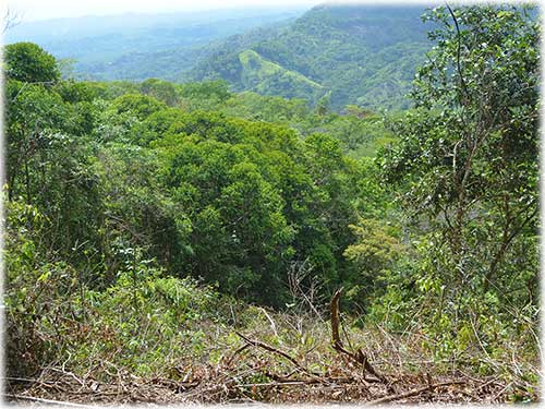 quepos, waterfall, river foothill, mountain, land, conservation, eco-friendly, development, manuel antonio