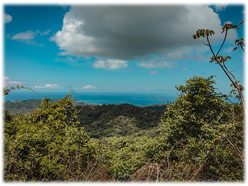 Nosara, land for development, development opportunity, eco homes, sustainable living, costa rica real estate, land for sale, eco properties for sale