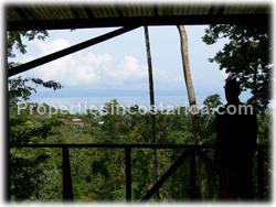 Pavones for sale, Pavones land, Pavones jungle, Puntarenas, Costa Rica, south pacific, tree house, surfing, fishing, hiking, wildlife, point break, river, tree house, watch tower, rain forest, real jungle, 1511