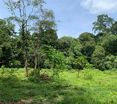 Small is Beautiful, 4 miles to Punta Uva Beach