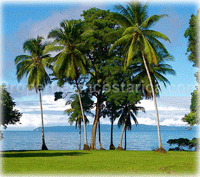 Investment Land for Sale