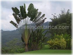 Dominical Costa Rica, Dominical Real Estate, Laguna Dominical, Dominical properties for sale,  Mountain Estate, mountain views, river access