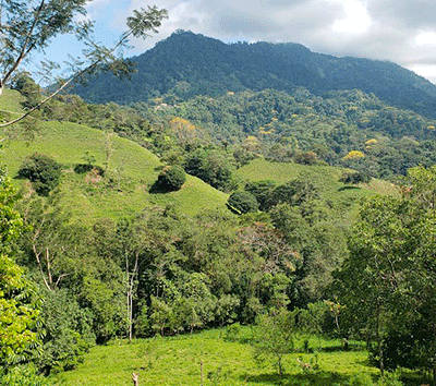 Beautiful Land in Tres Rios
