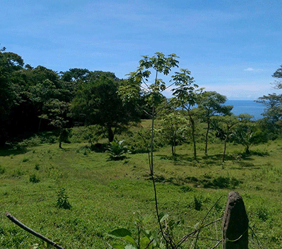 The Perfect Estate, Hotel or Eco-Retreat Dominical Ocean View Property.