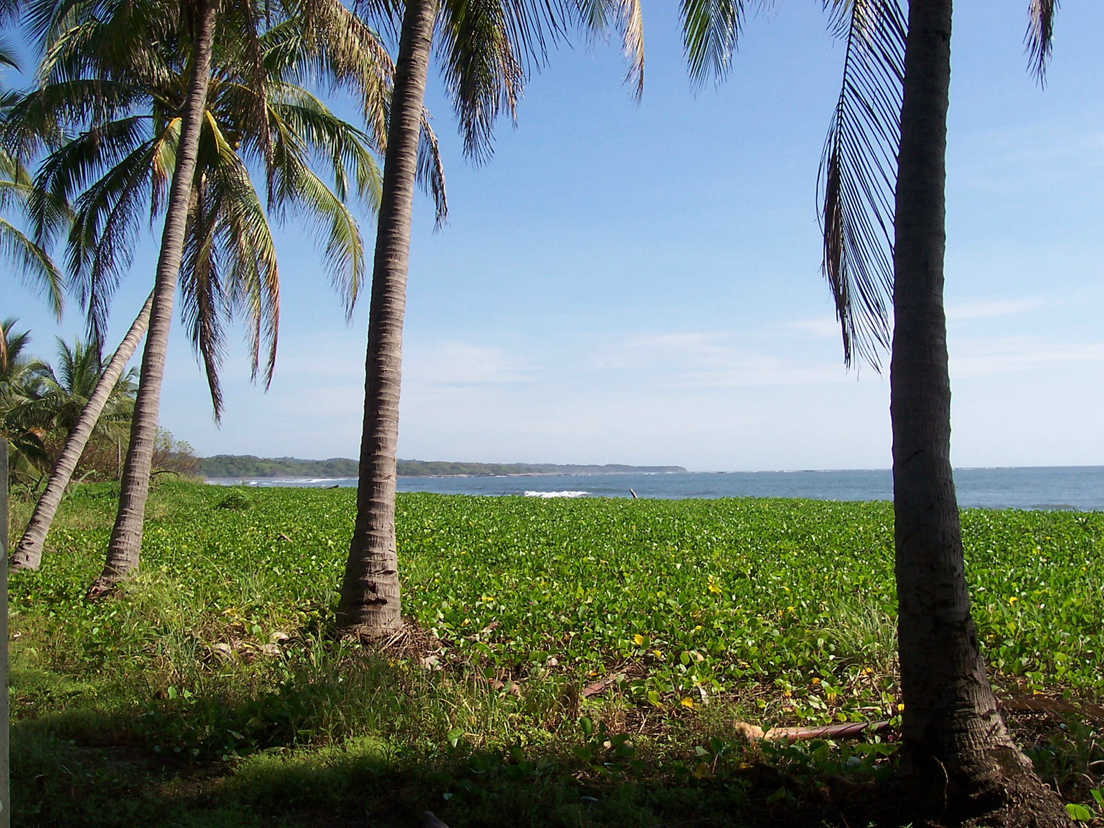 land for sale, for sale, beachfront, ocean view properties, development, beach, north pacific