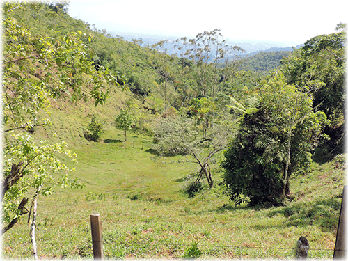 perez zeledon, real estate, land for sale, investments, for sale, south pacific, land, lots, development