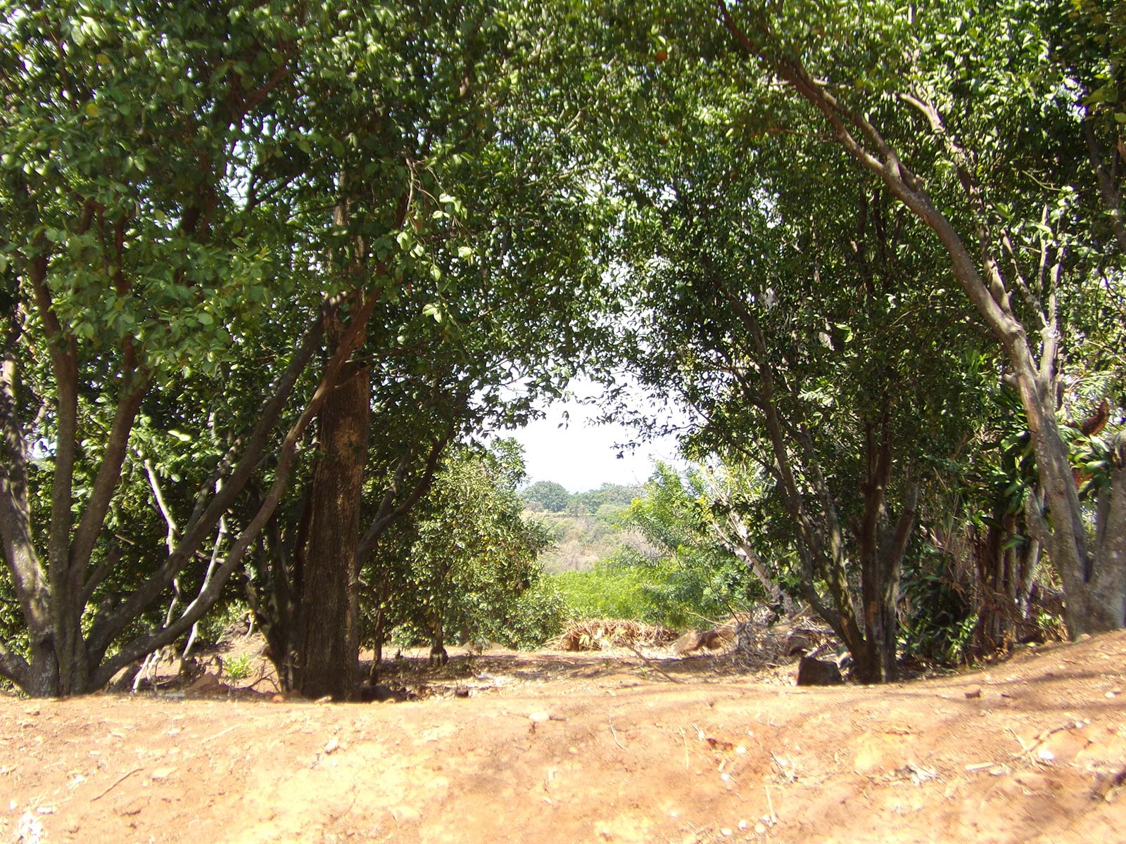 Bargain, real estate, View lot, for sale, in gated community, best deal, in escazu, santa ana, land,