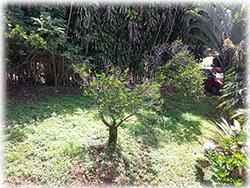 land for sale, costa rica lot for sale, fruit trees, real estate in Heredia, costa rica, investmente opportunity