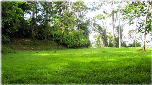 land for sale, residential lots, beach land for sale, properties in the beach, real estate in costa rica, uvita real estate, osa, real estate,