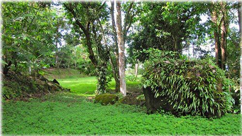 land for sale, residential lots, beach land for sale, properties in the beach, real estate in costa rica, uvita real estate, osa, real estate,