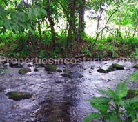 Costa Rica Real Estate