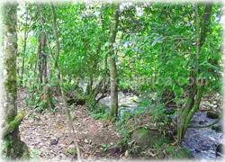 Limon real estate, Limon lots, Guapiles, for sale, river, investment