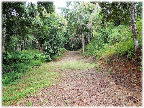 lands for sale, possible eco-community, valley view lands to build, near to beach real estate land