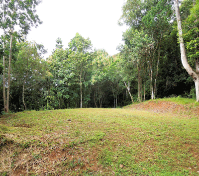 7 Lot Package Deal near Dominical