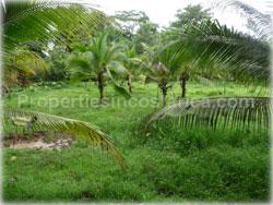 Limon land for sale, Guapiles land, Pococi land, real estate, river, farming, wood, horse, cattle, husbandry, investment,1743