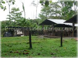 Limon land for sale, Guapiles land, Pococi land, real estate, river, farming, wood, horse, cattle, husbandry, investment,1743
