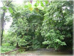 Limon land for sale, Guapiles land, Pococi land, real estate, river, farming, wood, horse, cattle, husbandry, investment,1743