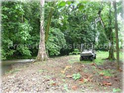 Limon land for sale, Guapiles land, Pococi land, real estate, river, farming, wood, horse, cattle, husbandry, investment,1743