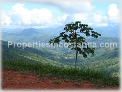 ominical real estate, Dominical for sale, nature, ocean view, mountain view, flora, fauna, wildlife, acres, large, investment opportunity, 1477