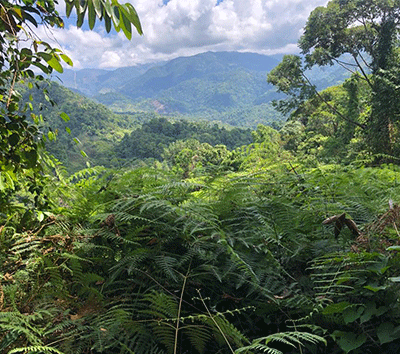 Land on the beautiful mountains of Tarrazu