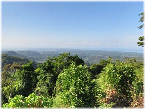 osa, peninsula, south pacific, for sale, mountain, sweeping views, tres rios, lot 14, expansive views