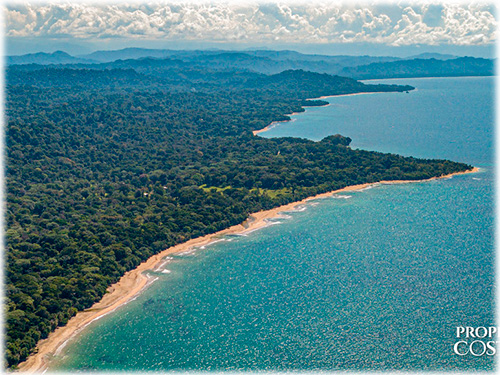 farm, Caribbean, Punta Uva Beach, Raw Land, Jungle, Paraiso, Panama, Bocas del Toro