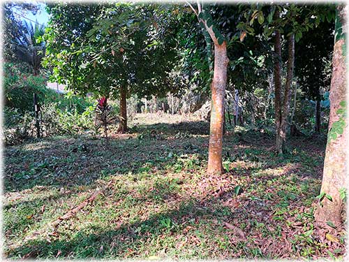 farm, Caribbean, Punta Uva Beach, Raw Land, Jungle, Paraiso, Panama, Bocas del Toro