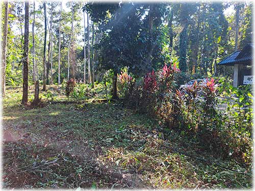 farm, Caribbean, Punta Uva Beach, Raw Land, Jungle, Paraiso, Panama, Bocas del Toro