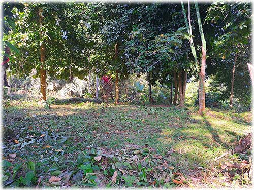 farm, Caribbean, Punta Uva Beach, Raw Land, Jungle, Paraiso, Panama, Bocas del Toro