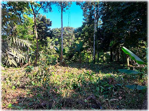 farm, Caribbean, Punta Uva Beach, Raw Land, Jungle, Paraiso, Panama, Bocas del Toro