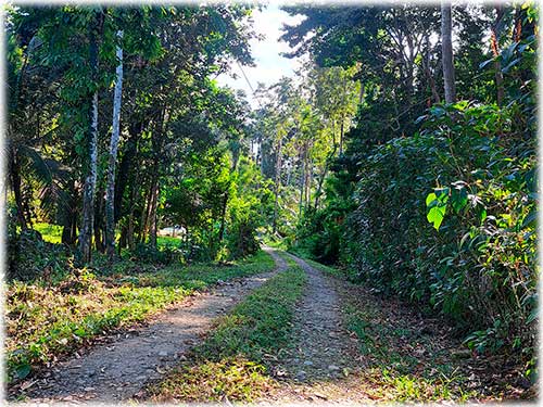 farm, Caribbean, Punta Uva Beach, Raw Land, Jungle, Paraiso, Panama, Bocas del Toro