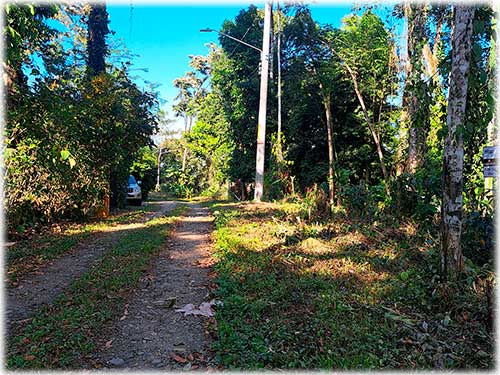 farm, Caribbean, Punta Uva Beach, Raw Land, Jungle, Paraiso, Panama, Bocas del Toro