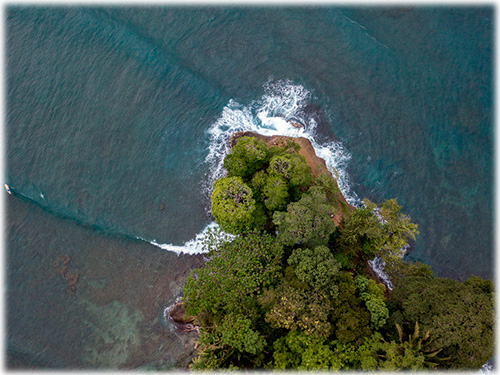 farm, Caribbean, Punta Uva Beach, Raw Land, Jungle, Paraiso, Panama, Bocas del Toro