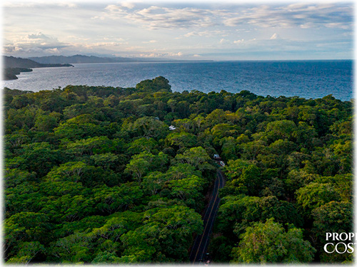 farm, Caribbean, Punta Uva Beach, Raw Land, Jungle, Paraiso, Panama, Bocas del Toro