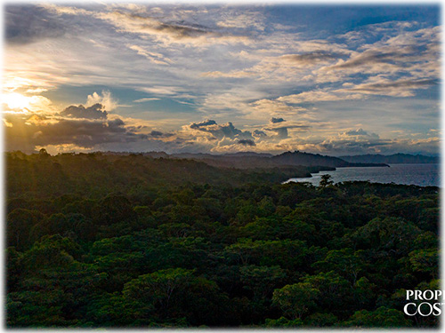 farm, Caribbean, Punta Uva Beach, Raw Land, Jungle, Paraiso, Panama, Bocas del Toro