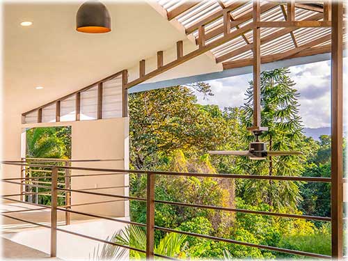 punta uva, manzanillo, caribbean, caribe, for sale, nature, lush jungle