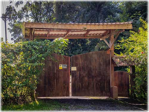 punta uva, manzanillo, caribbean, caribe, for sale, nature, lush jungle