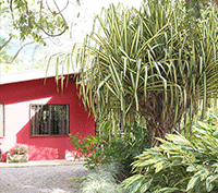 The Red House: Connect with Nature in Ciudad Colón