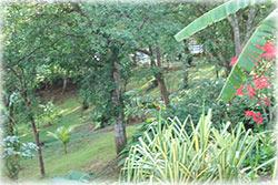 Jungle retreat for sale, costa rica home for sale, House for sale, Ciudad colon home, Fruit Trees, Near Downtown Home 