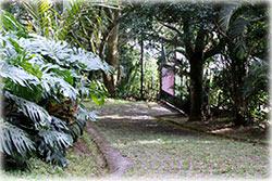 Jungle retreat for sale, costa rica home for sale, House for sale, Ciudad colon home, Fruit Trees, Near Downtown Home 